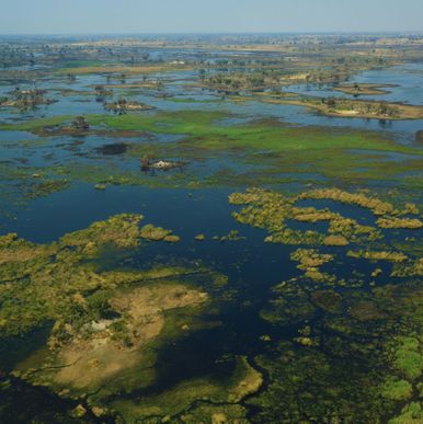 Okavango-deltat